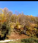 Парцел в Ловеч, с. Рибарица