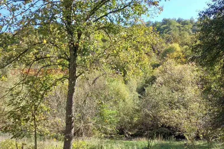 Plot in Oblast Lovech, Ribarica