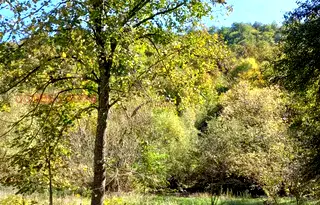 Парцел в Ловеч, с. Рибарица