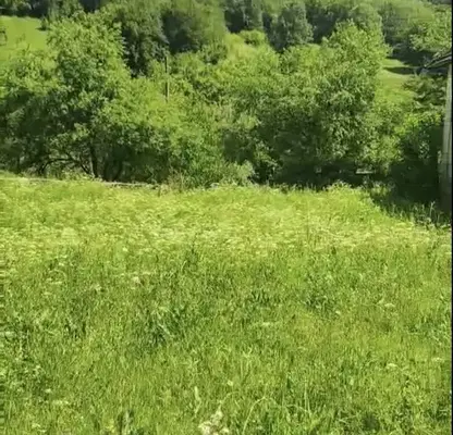 Photo 4 — Plot in Oblast Lovech, Ribarica