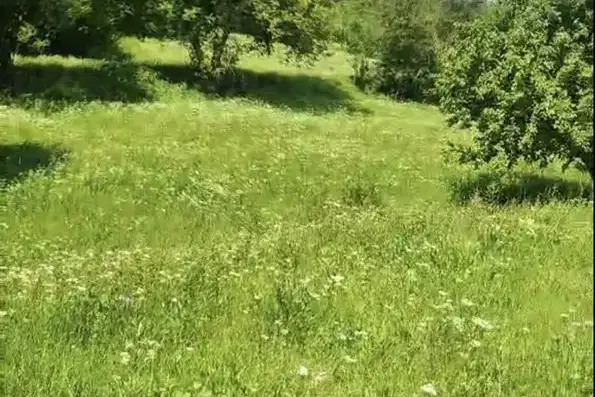 Plot in Oblast Lovech, Ribarica