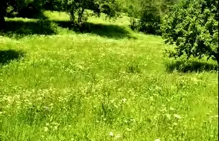 Парцел в Ловеч, с. Рибарица