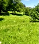 Парцел в Ловеч, с. Рибарица