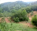Снимка 3 — Парцел в Ловеч, с. Рибарица