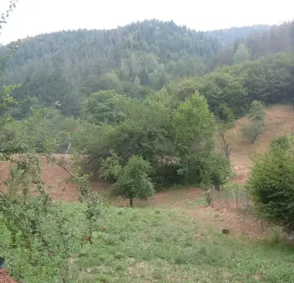 Photo 3 — Plot in Oblast Lovech, Ribarica