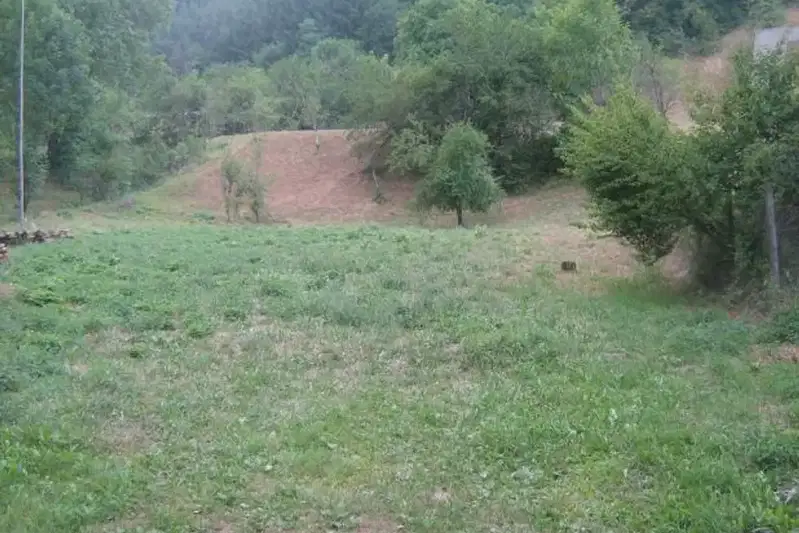 Plot in Oblast Lovech, Ribarica