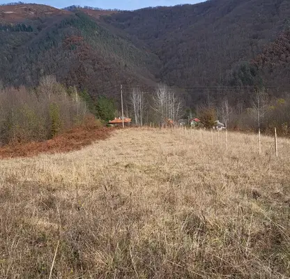 Photo 2 — Plot in Oblast Lovech, Ribarica