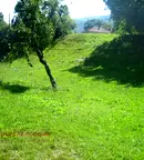 Парцел в Ловеч, с. Рибарица
