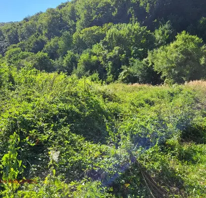 Photo 2 — Plot in Oblast Lovech, Shipkovo