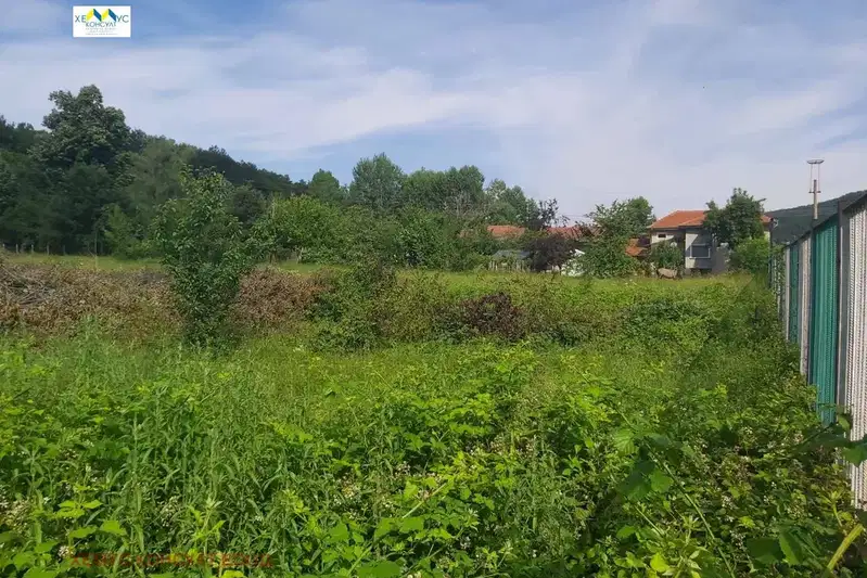 Plot in Lovech, Skandaloto