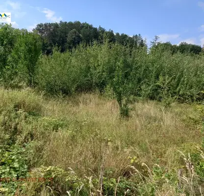 Photo 5 — Plot in Lovech, Skandaloto