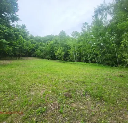 Photo 2 — Plot in Oblast Lovech, Skandaloto