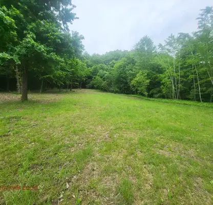 Photo 3 — Plot in Oblast Lovech, Skandaloto