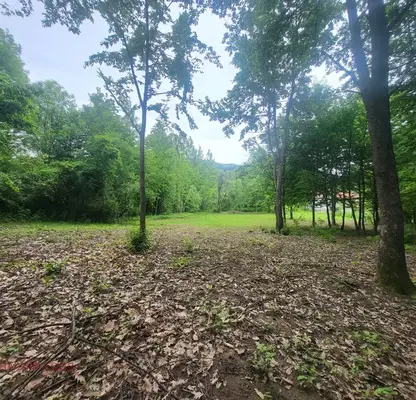 Photo 5 — Plot in Oblast Lovech, Skandaloto