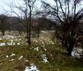 Снимка 3 — Парцел в Ловеч, с. Скандалото