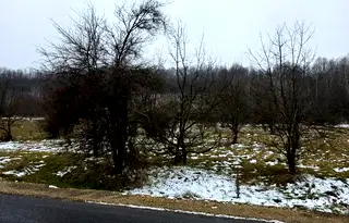 Парцел в Ловеч, с. Скандалото