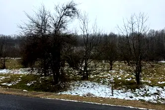 Парцел в Ловеч, с. Скандалото