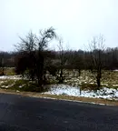 Парцел в Ловеч, с. Скандалото