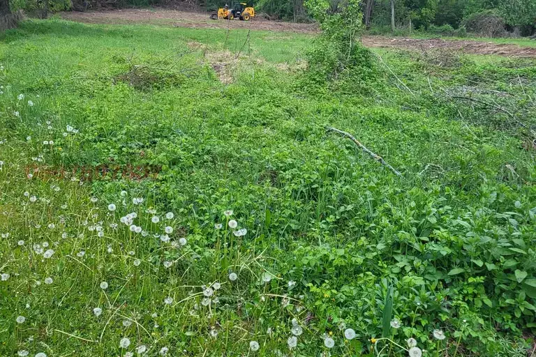 Plot in Lovech, Skandaloto