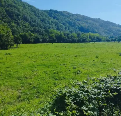 Photo 2 — Plot in Oblast Lovech, Skandaloto