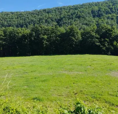 Photo 4 — Plot in Oblast Lovech, Skandaloto