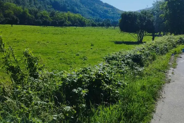 Plot in Oblast Lovech, Skandaloto