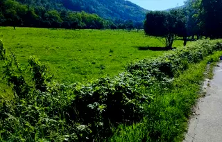Парцел в Ловеч, с. Скандалото