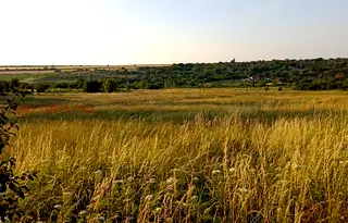 Парцел в Ловеч, с. Славяни