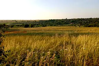 Парцел в Ловеч, с. Славяни
