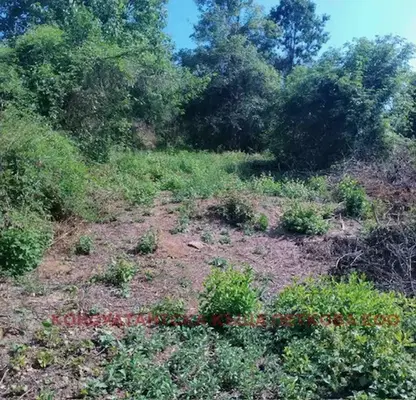 Photo 4 — Plot in Oblast Lovech, Slivek