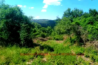Парцел в Ловеч, с. Сливек