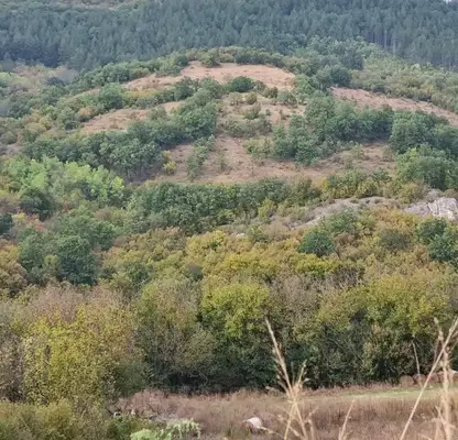 Photo 3 — Plot in Oblast Lovech, Slivek
