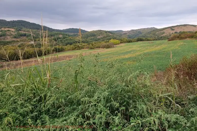 Plot in Oblast Lovech, Slivek