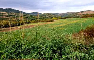 Парцел в Ловеч, с. Сливек