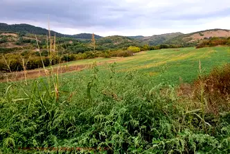 Парцел в Ловеч, с. Сливек