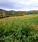 Парцел в Ловеч, с. Сливек