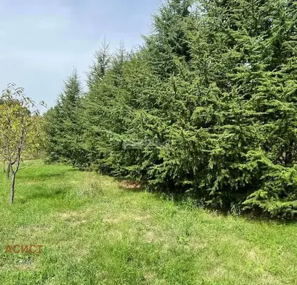 Photo 3 — Plot in Oblast Lovech, Sopot
