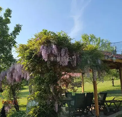 Photo 5 — Plot in Oblast Lovech, Sopot