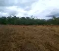 Снимка 2 — Парцел в Ловеч, с. Старо село
