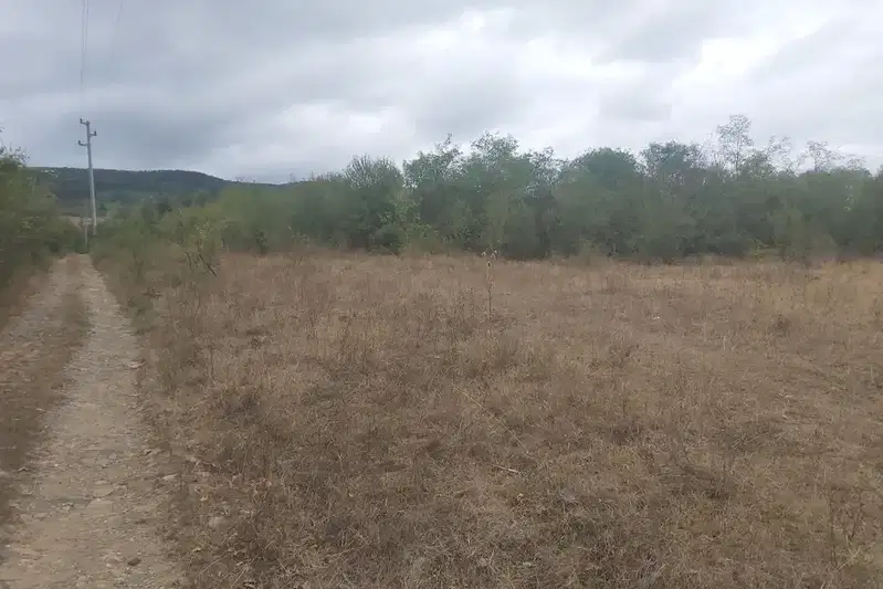 Plot in Oblast Lovech, Staro Selo