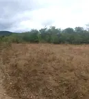 Парцел в Ловеч, с. Старо село