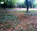 Снимка 3 — Парцел в Ловеч, с. Старо село