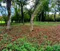 Снимка 5 — Парцел в Ловеч, с. Старо село