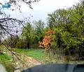 Снимка 3 — Парцел в Ловеч, с. Старо село