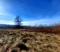 Снимка 4 — Парцел в Ловеч, с. Старо село