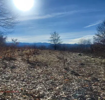 Photo 5 — Plot in Oblast Lovech, Staro Selo