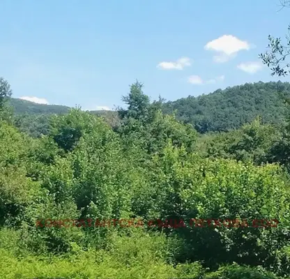Photo 5 — Plot in Oblast Lovech, Stefanovo
