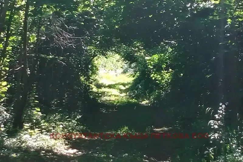 Plot in Oblast Lovech, Stefanovo