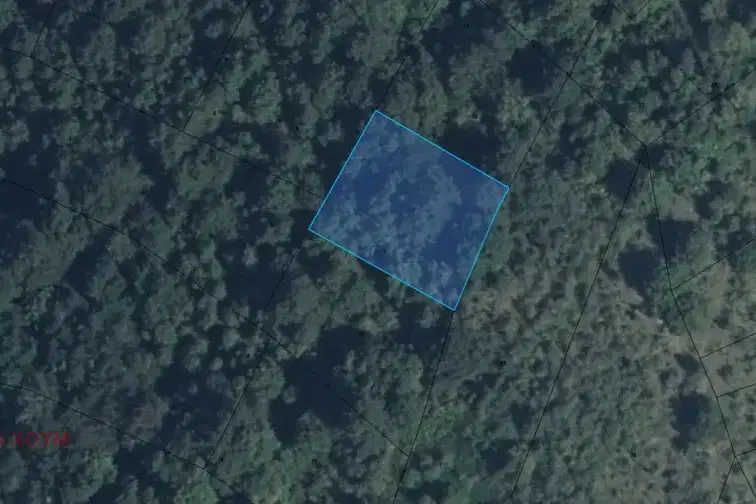 Plot in Oblast Lovech, Terziisko