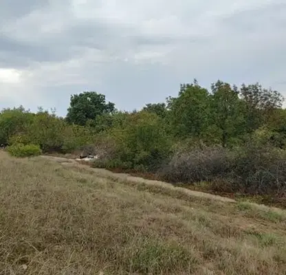 Photo 2 — Plot in Oblast Lovech, с. Умаревци